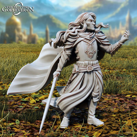 Faelrion - Tabletop Miniatur 28mm für Fantasy-Abenteuer
